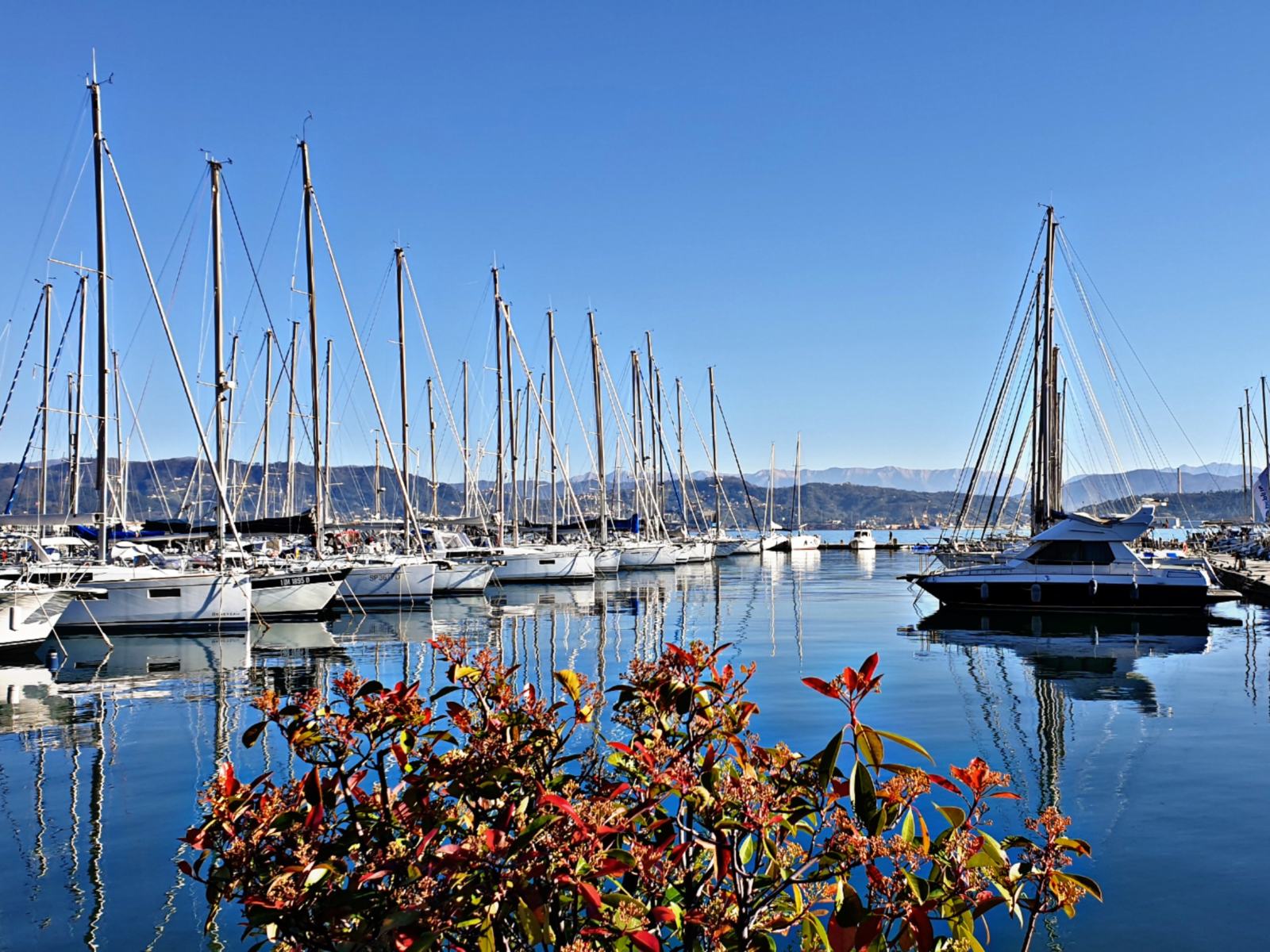 Marina del Fezzano