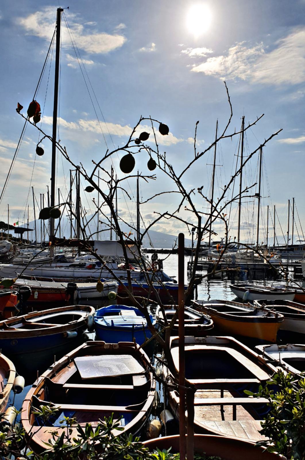 Le barche di Borgo Marinari