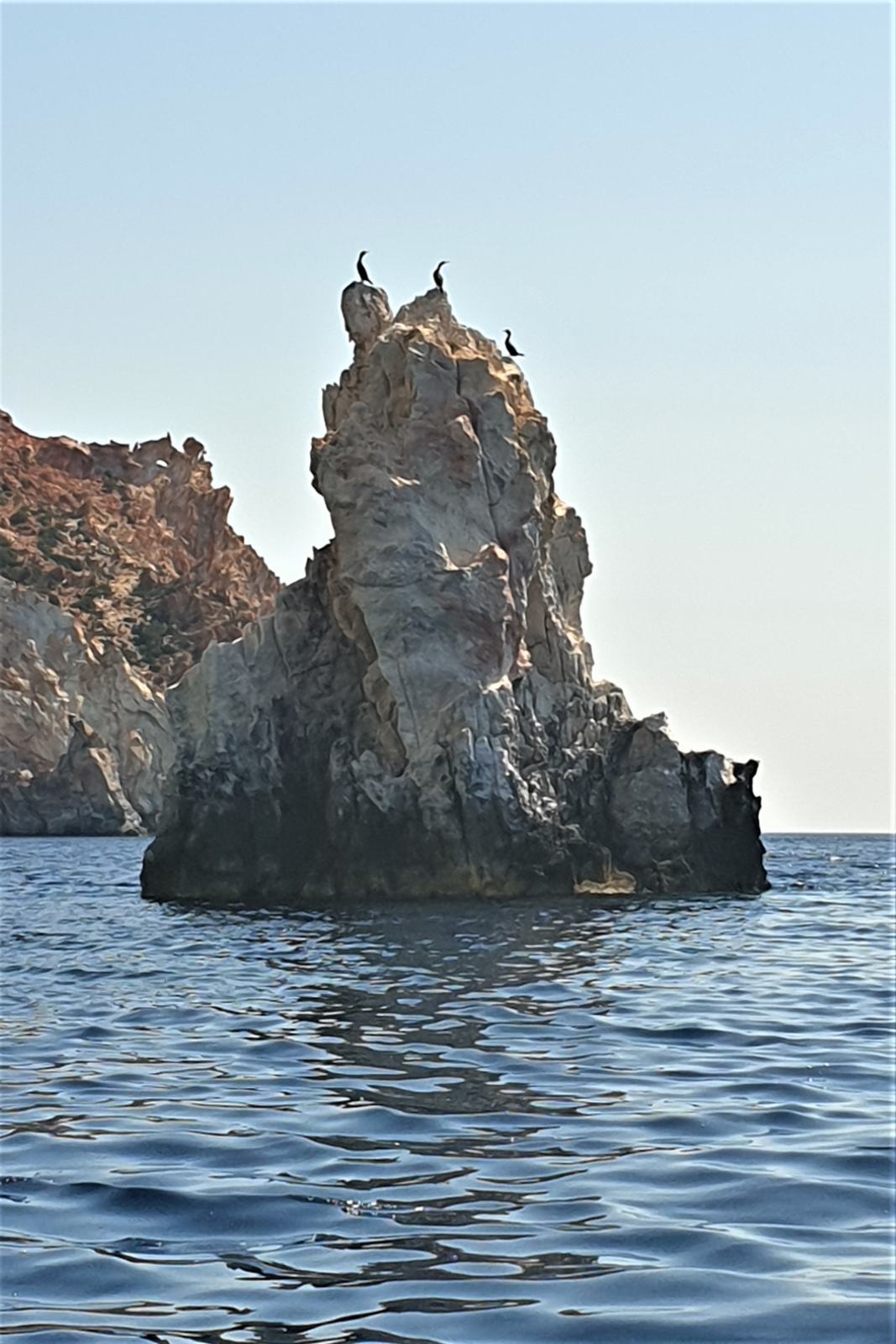 Cormorani davanti all'isola di Polyaigos