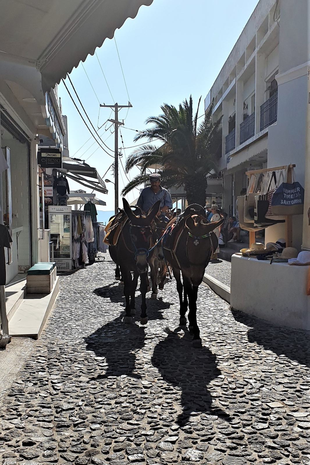 Asinelli di Santorini