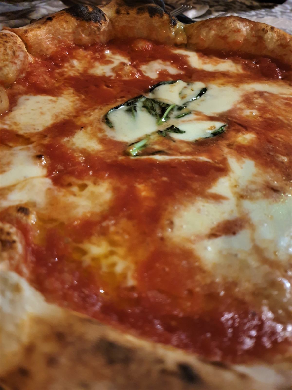 Pizza margherita