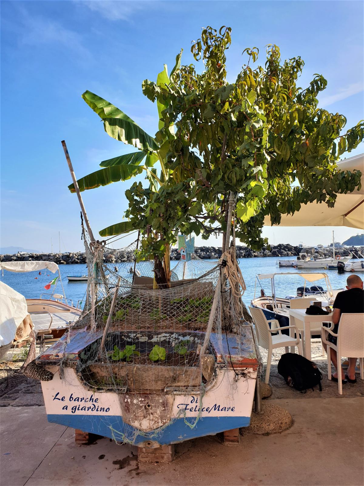 La barca giardino di Felice Mare