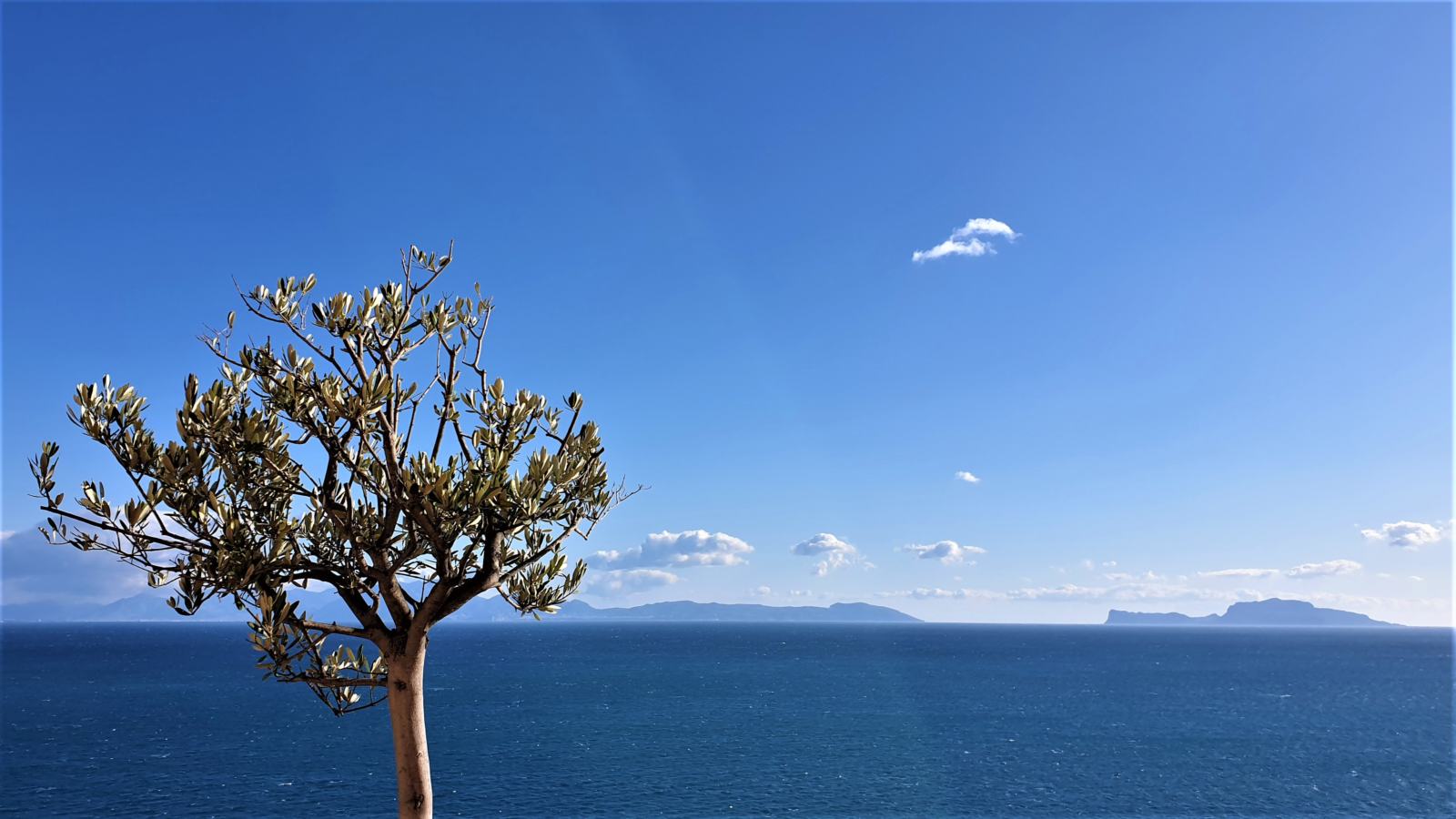 Vista sul Golfo di Napoli dal terrazzo dell'Abbazia